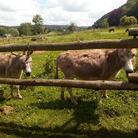 Couettes Et Picotin 3*