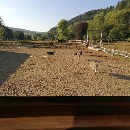 Couettes Et Picotin 4*
