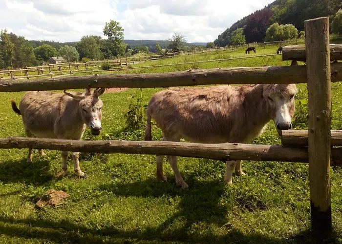 Couettes Et Picotin 3*