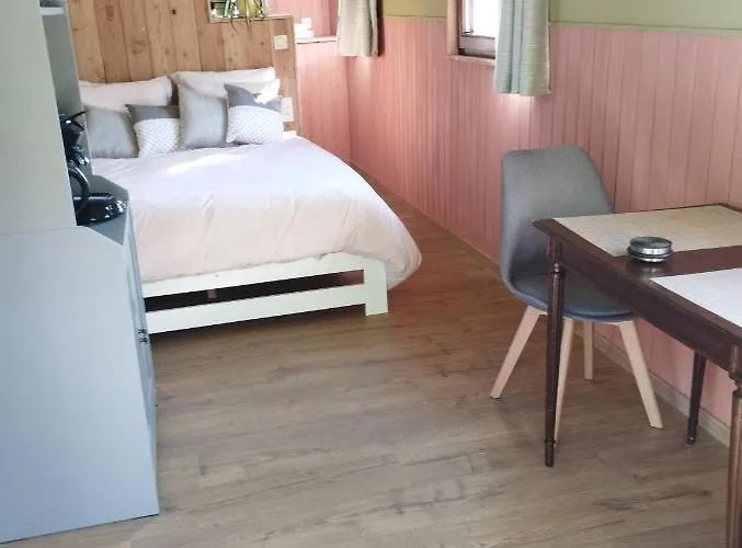 Couettes Et Picotin 더뷔